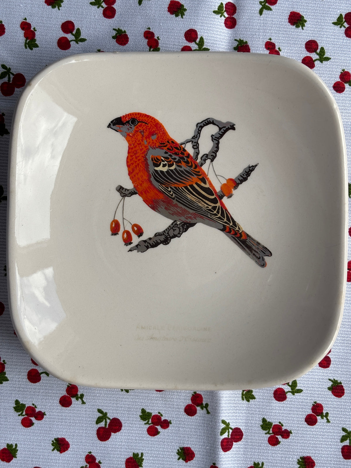 Coupelle oiseau