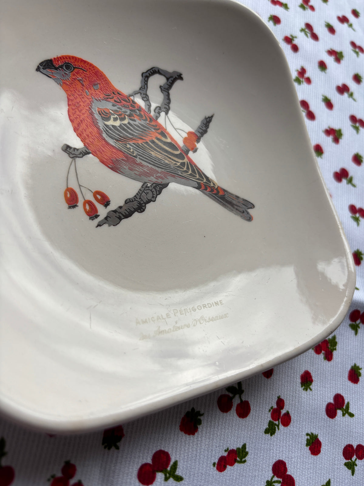 Coupelle oiseau