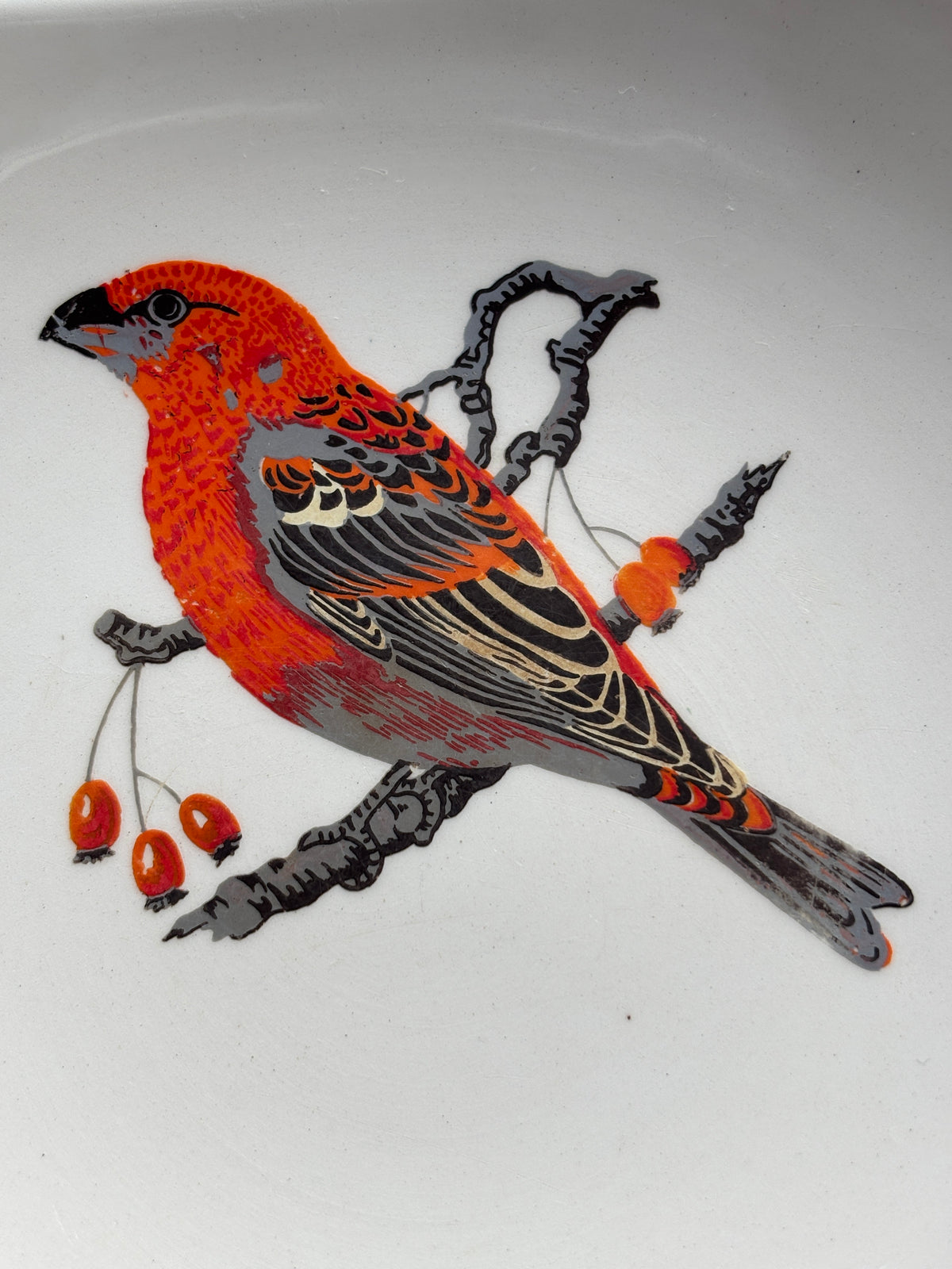 Coupelle oiseau